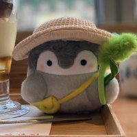 みぽん (@mipony1106) 's Twitter Profile