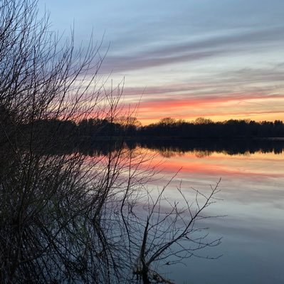 Ningel2Myriam's profile picture. 💙🇩🇪💙