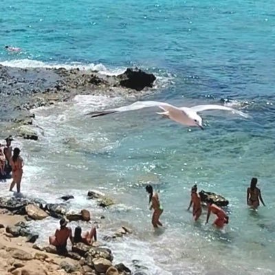 mahn40993776's profile picture. in fondo volevo solo essere una hippy 🌸🌸🌸🌸