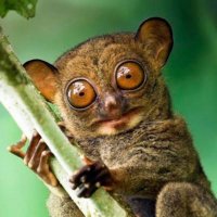 mostly harmless (@mostlyolcay) 's Twitter Profile Photo mostly harmless (@mostlyolcay) 's Twitter Profile Photo