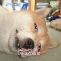 かたさん@ポタ福の中の人 (@katasan_39) 's Twitter Profile Photo