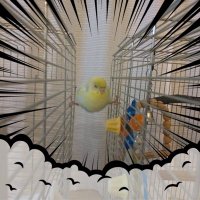 ソーダ (@hantamago_go_) 's Twitter Profile Photo