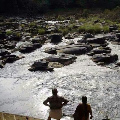 hauquhq57369905's profile picture. 