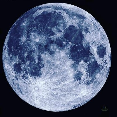 Moon 🤍さんのプロフィール画像