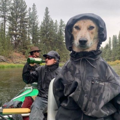 YamGiovani's profile picture. prof IT