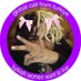 z🧷 (@777blissed) Twitter profile photo z🧷 (@777blissed) Twitter profile photo