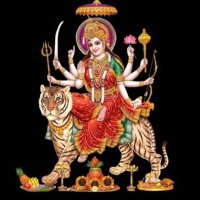 SnehaChoudhary ⚕️ (@sc_2521) 's Twitter Profile Photo SnehaChoudhary ⚕️ (@sc_2521) 's Twitter Profile Photo