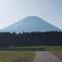 さにな (@jeepqf5dli68884) Twitter profile photo