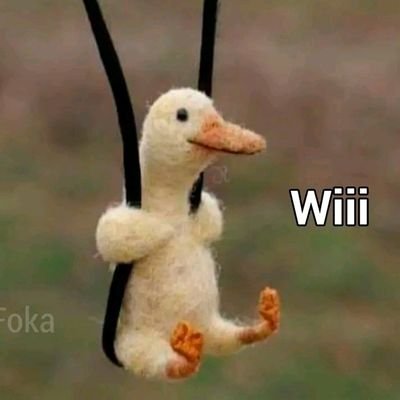 SanPieropy's profile picture. 