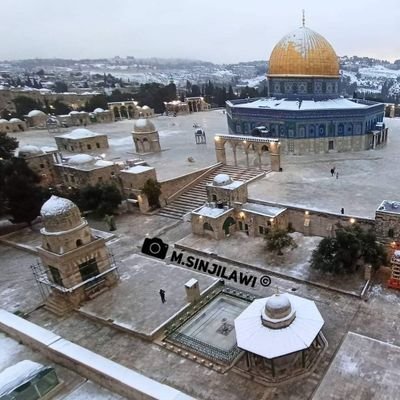 BwhrawtB17252's profile picture. 