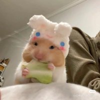 선아 (@wh0s_ol) 's Twitter Profile