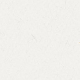 palXnqo8Cv41827's profile picture. 凸○/通話✖︎