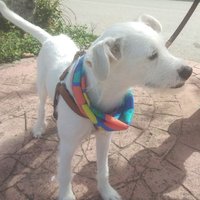 Hürü Demiroğlu (@demirogluhuru) Twitter profile photo