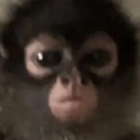 Tagab0's profile picture. french data engineer