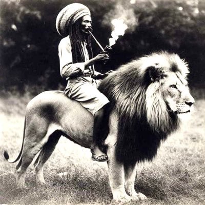 ❤️unapologetically🖤pan-african💚 | cryptocurrency enthusiast #bitcoin | lover of culture