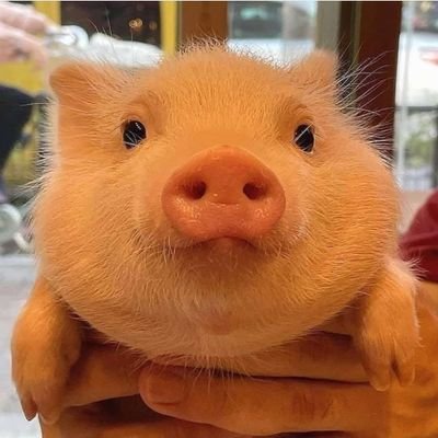 yudestrya's profile picture. Loving is hard, it don't always work(: