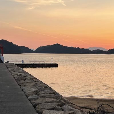 sabacakeee's profile picture. 小傘ちゃんが好き