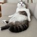 Behlül PATİOĞLU 🐾 (@4564behlul) Twitter profile photo Behlül PATİOĞLU 🐾 (@4564behlul) Twitter profile photo