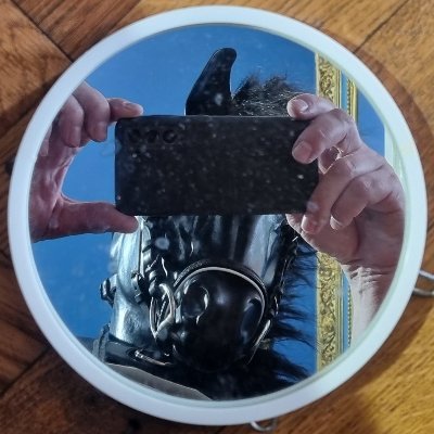 50+, male, single. Misanthropy, Sociopathy, some Psychopathy sprinkled with ADHD. Adult autistic person. But I am nice person when not triggered.