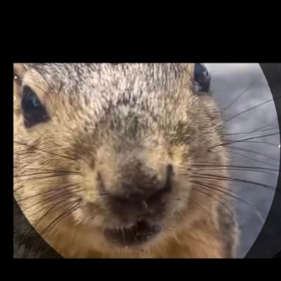 crypto_chillin's profile picture. Great people do great things🚀🤲🏽💎 #certifiedmooner