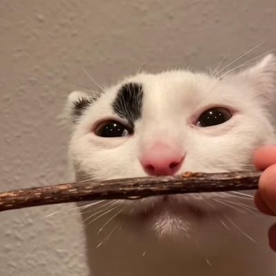 TheRealWaagosh's profile picture. Just another gamer who loves The Finals and loves the community. :)