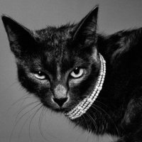 Alba (@aalbaav) 's Twitter Profile