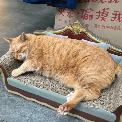 huihui_0310's profile picture. 