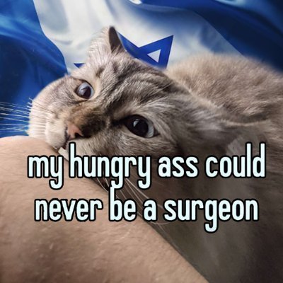 kosimashelha's profile picture. open book in a closed casket