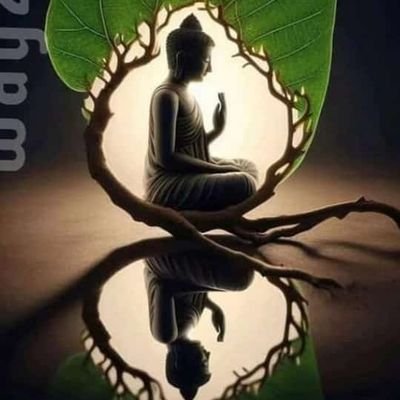 saicharantejaa's profile picture. business