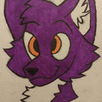 SpikesDoesStuff (@spikesdoesstuff) 's Twitter Profile