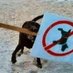not a fed (@meinhund_) Twitter profile photo not a fed (@meinhund_) Twitter profile photo