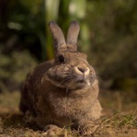 Tee 🏴‍☠️ (@teeheeseason3) 's Twitter Profile Photo