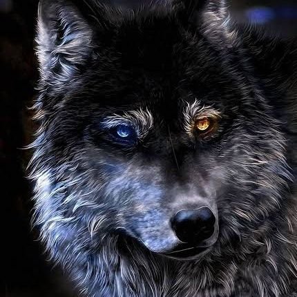 kalus3917's profile picture. 