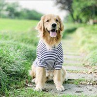 QQQQQ (@dddddaaa88) 's Twitter Profile