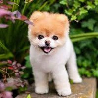 Lesley ๐๐๐ง๐ป (@lesleyb58051421) 's Twitter Profile