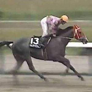 KeibanextD's profile picture. 過去データから次走 next Dataを分析🏇
3着以内の確率が高そうな中穴を狙います🎯
複勝どんぐりころころ🎲