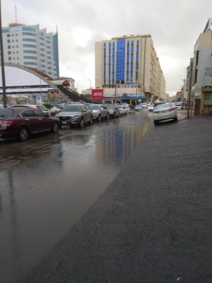 talal091's profile picture. Still updating...