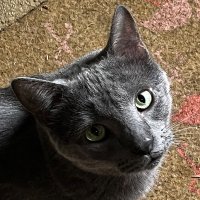 Jber_Eagle (@jber_eagle) 's Twitter Profile
