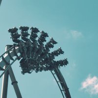 Coaster Bloom (@coasterbloom) 's Twitter Profile