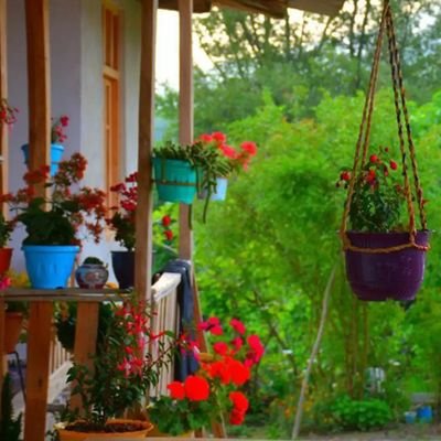 behdad805018857's profile picture. این کهنه جهان به کس نماند باقی . .🪴✨
زندگی به سبک بهداد...