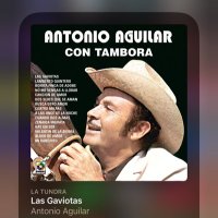 Don Ja Son (@jasonmaldonado1) 's Twitter Profile