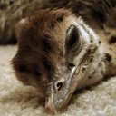 DeJa Harris - @DeJaHarris45948 - Twitter