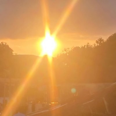 flyboi09888's profile picture. Nothing