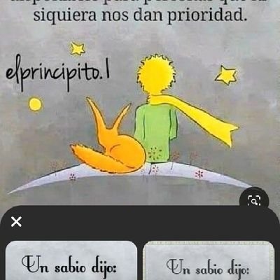 luna011323's profile picture. 