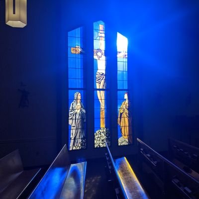 jarvis9's profile picture. Catholic, BJJ blue belt.  Redemptor Meus Vivit. ☧