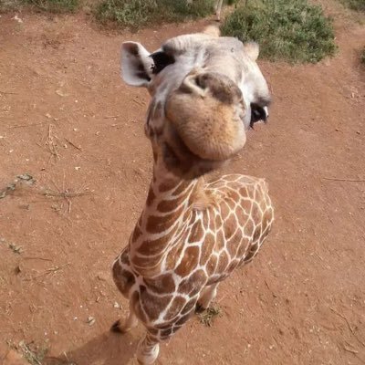 HeilGlace's profile picture. https://t.co/UtNoFKPXG1