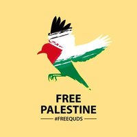 Archi-med🇵🇸🇵🇸🇵🇸 (@med758781881) 's Twitter Profile Photo Archi-med🇵🇸🇵🇸🇵🇸 (@med758781881) 's Twitter Profile Photo