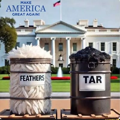 Sno9430's profile picture. Mmm bacon