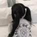 ♆ (@fairypetiteme) Twitter profile photo ♆ (@fairypetiteme) Twitter profile photo