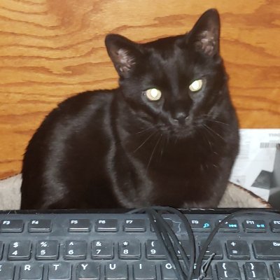 maj87124's profile picture. Family Faith Country.  Learned about Socialism in HS & college, have friends that escaped it, don't want any part of it. Let Freedom Ring. No DMs